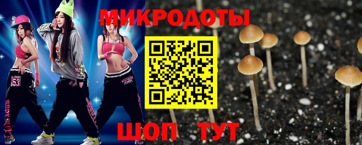 Галлюциногенные грибы GOLDEN TEACHER Кулебаки